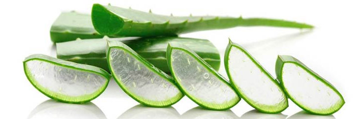 GEl aloe vera